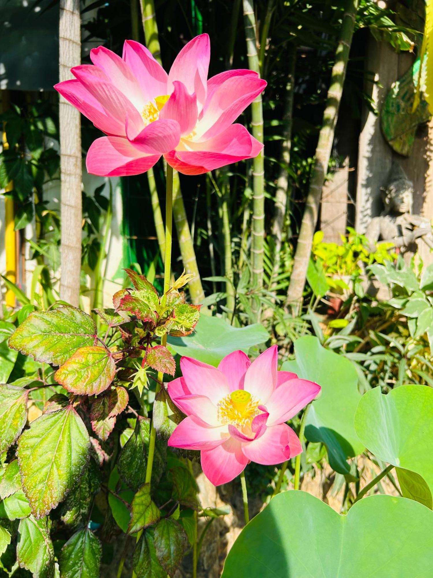 Hongkhao Village Chiang Mai Luaran gambar
