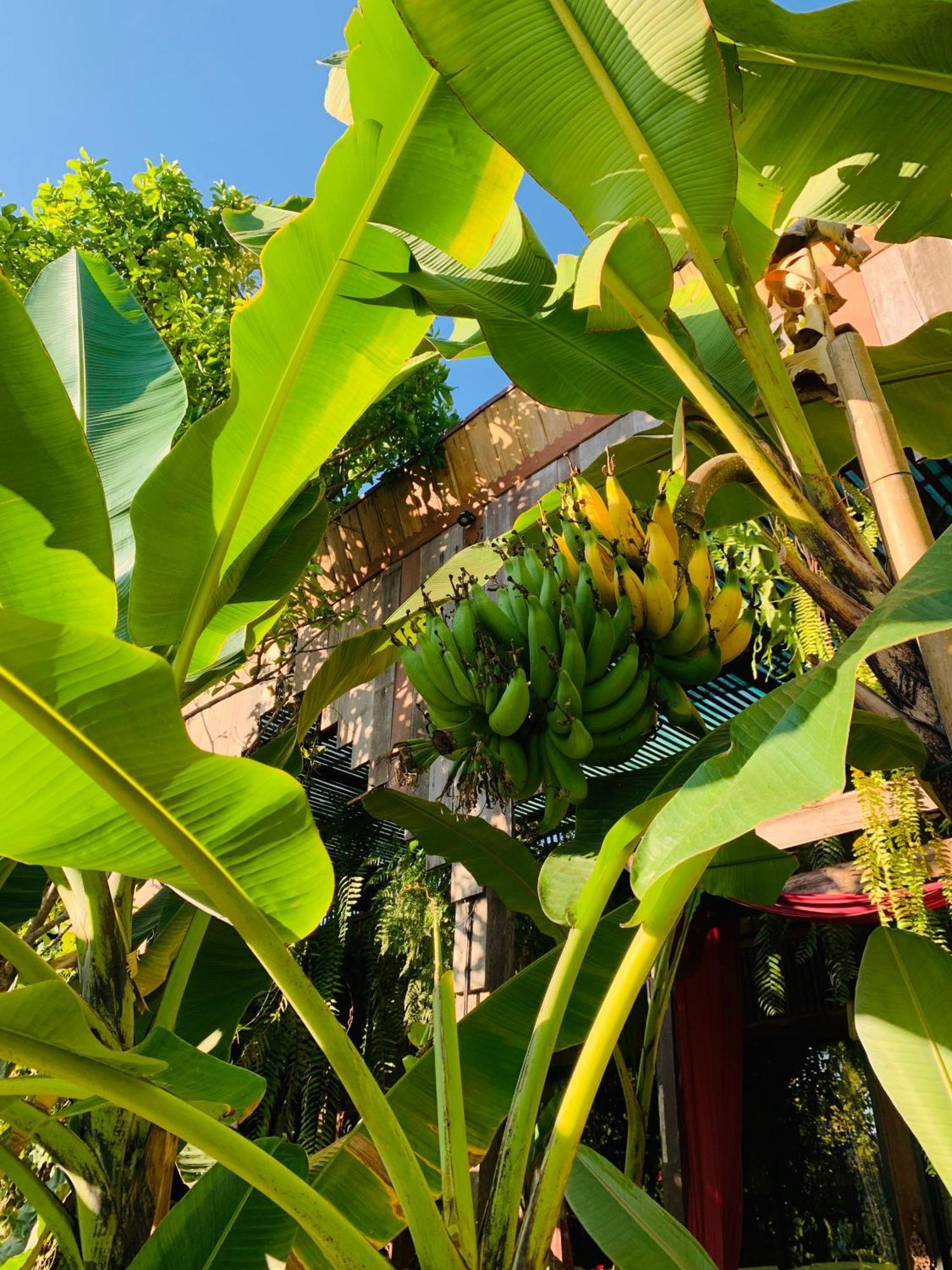 Hongkhao Village Chiang Mai Luaran gambar